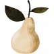 Perfect Pear- Pear Sticker 02