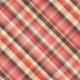 Spring Fresh Plaid Paper 06