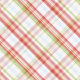 Spring Fresh Plaid Paper 09