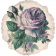 Vintage Blooms Sticker 01 Rose