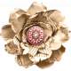 Spring Fresh Cream Flower