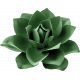 Spring Fresh Dark Green Flower