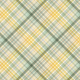Afternoon Daffodil Plaid Paper 08