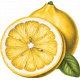 Old Fashioned Summer Sticker lemon
