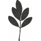 Country Days Mini leaves