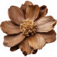 Wildwood Thicket Wood Flower