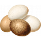 Charlotte's Farm Element eggs