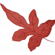 Charlotte&#039;s Farm Mini leaf red