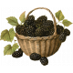 Charlotte&#039;s Farm Blackberries Basket