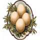 Charlotte's Farm Eggs 2