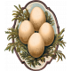 Charlotte&#039;s Farm Eggs 2