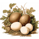 Charlotte&#039;s Farm Eggs 3
