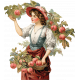 Charlotte&#039;s Farm Picking Apples