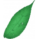 Hope Leaf