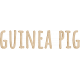 Feathers And Fur Word Art guinea pig