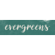 Fancy A Cup Evergreens Word Art