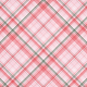 Simply Sweet Plaid Paper 09