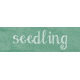 Spring Garden Seedling Word Art