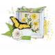 Meadow Cluster 2