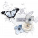Meadow Cluster 6