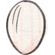 Spring Garden Sticker seed white