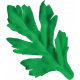 Farmer&#039;s Market Leaf