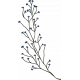 Autumn Dew Branch 5