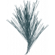 Evergreen pine needles dark green