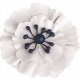 Spring for Coffee White Flower