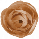 Fall Flower 3