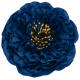 September Flower1