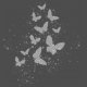 Wild &amp; Free Butterflies and Paint Splatters