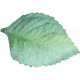 Radiant Gradient Glitter Leaf