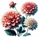 Dahlia Flower Cluster 3