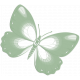 Feb 2023 Design Challenge Letter_Butterfly_Lime