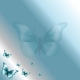 Fly Fly Butterfly- Lilian Hansen