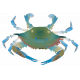 Blue Sea Crab Element