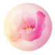 Tranquility Flower Blossom Bubble 2 Element