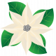 Christmastide White Poinsettia Element