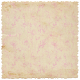 Delicate Poppy Floral Distressed Scalloped Paper P