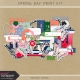 Spring Day Print Kit