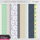 New Day Baby Papers Kit