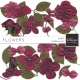 Flower Kit #21
