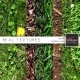 Real Textures Kit #9