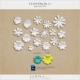 Flowers No.17