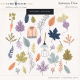 Autumn Dew Illustrations