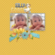 Silly Goose-ScrapbookCrazy Robyn 