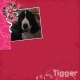 Tigger Love