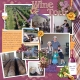 Wine Tour