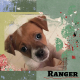Ranger in green
